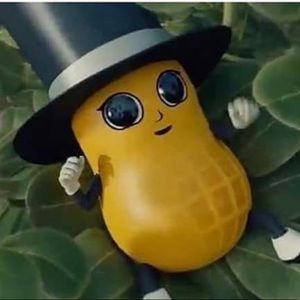 Meet your Posher, Momo